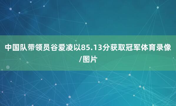 中国队带领员谷爱凌以85.13分获取冠军体育录像/图片