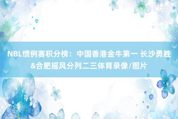 NBL惯例赛积分榜：中国香港金牛第一 长沙勇胜&合肥摇风分列二三体育录像/图片