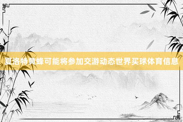 夏洛特黄蜂可能将参加交游动态世界买球体育信息