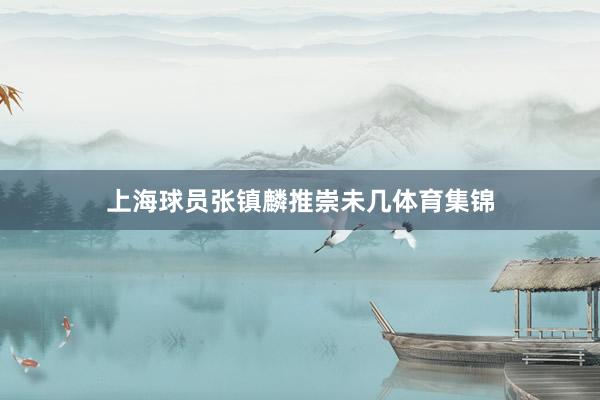 上海球员张镇麟推崇未几体育集锦