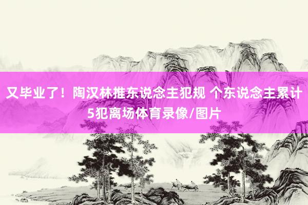 又毕业了！陶汉林推东说念主犯规 个东说念主累计5犯离场体育录像/图片