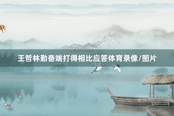 王哲林勤奋端打得相比应答体育录像/图片