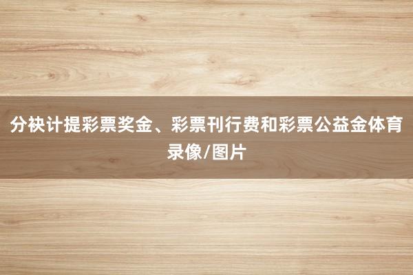 分袂计提彩票奖金、彩票刊行费和彩票公益金体育录像/图片