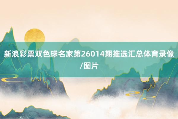 新浪彩票双色球名家第26014期推选汇总体育录像/图片