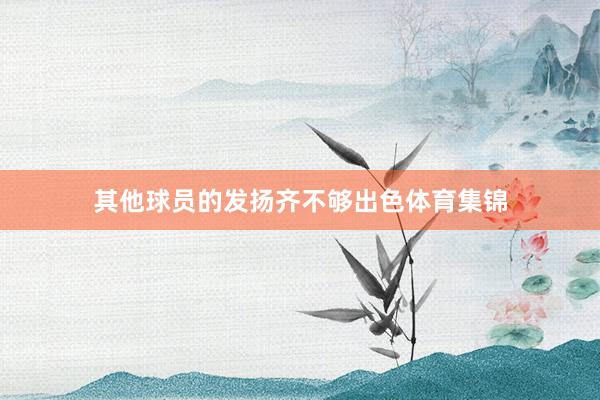 其他球员的发扬齐不够出色体育集锦