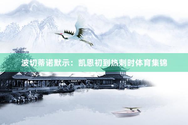 波切蒂诺默示：凯恩初到热刺时体育集锦