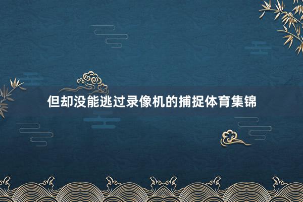 但却没能逃过录像机的捕捉体育集锦