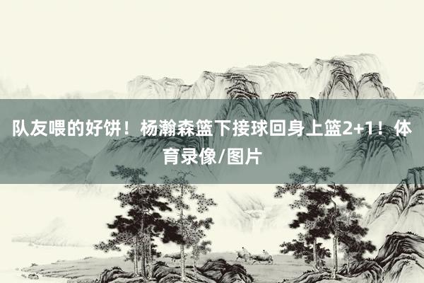 队友喂的好饼！杨瀚森篮下接球回身上篮2+1！体育录像/图片