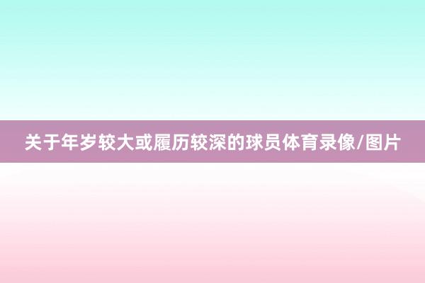 关于年岁较大或履历较深的球员体育录像/图片