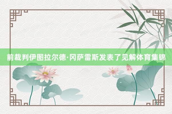 前裁判伊图拉尔德·冈萨雷斯发表了见解体育集锦