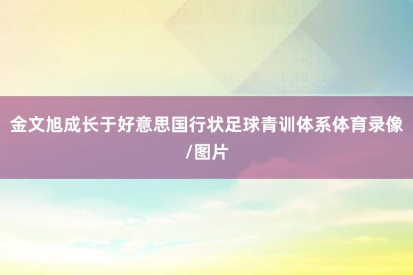 金文旭成长于好意思国行状足球青训体系体育录像/图片