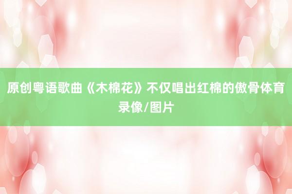 原创粤语歌曲《木棉花》不仅唱出红棉的傲骨体育录像/图片