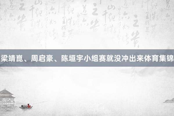 梁靖崑、周启豪、陈垣宇小组赛就没冲出来体育集锦