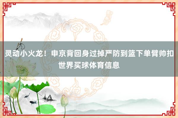灵动小火龙！申京背回身过掉严防到篮下单臂帅扣世界买球体育信息