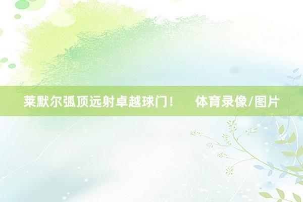莱默尔弧顶远射卓越球门！    体育录像/图片