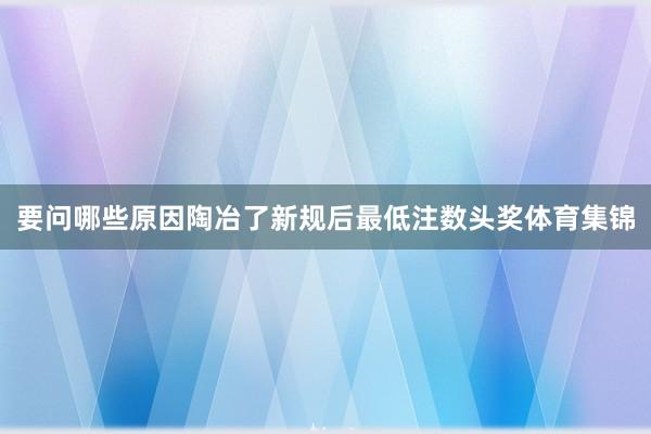 要问哪些原因陶冶了新规后最低注数头奖体育集锦