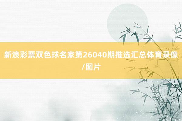 新浪彩票双色球名家第26040期推选汇总体育录像/图片