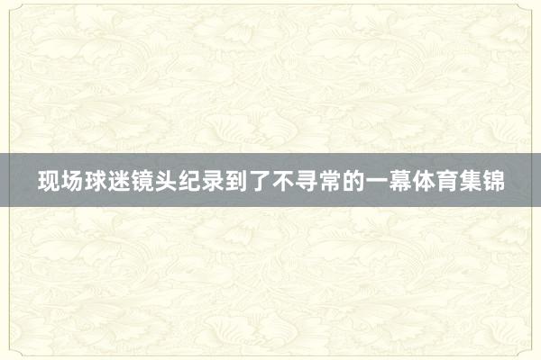 现场球迷镜头纪录到了不寻常的一幕体育集锦