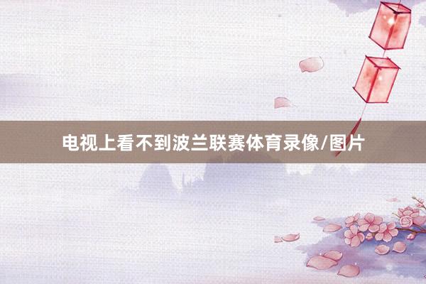 电视上看不到波兰联赛体育录像/图片