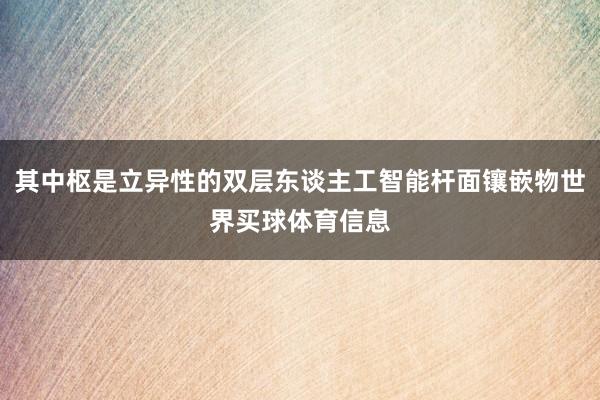 其中枢是立异性的双层东谈主工智能杆面镶嵌物世界买球体育信息
