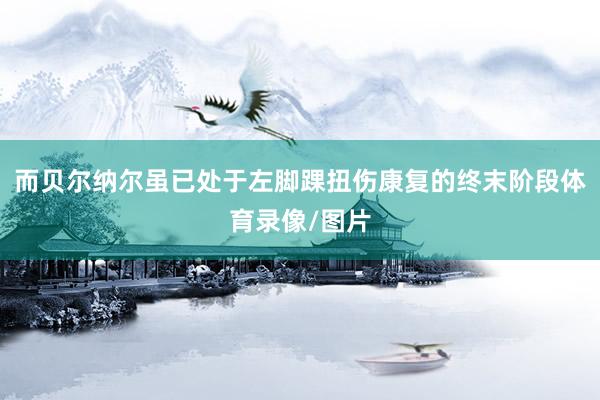 而贝尔纳尔虽已处于左脚踝扭伤康复的终末阶段体育录像/图片