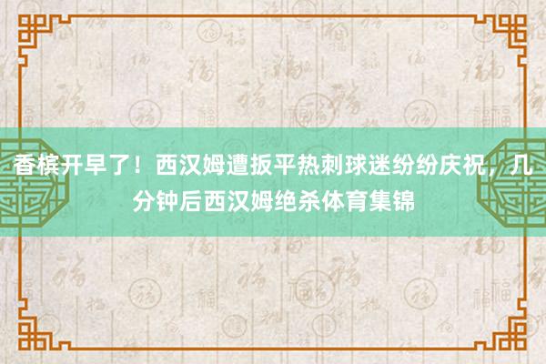 香槟开早了！西汉姆遭扳平热刺球迷纷纷庆祝，几分钟后西汉姆绝杀体育集锦