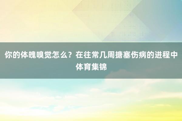 你的体魄嗅觉怎么？在往常几周搪塞伤病的进程中体育集锦