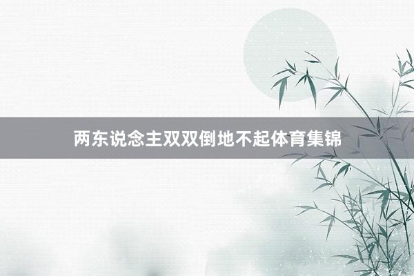 两东说念主双双倒地不起体育集锦
