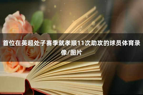 首位在英超处子赛季就孝顺11次助攻的球员体育录像/图片
