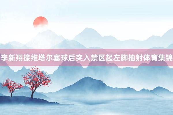 李新翔接维塔尔塞球后突入禁区起左脚抽射体育集锦