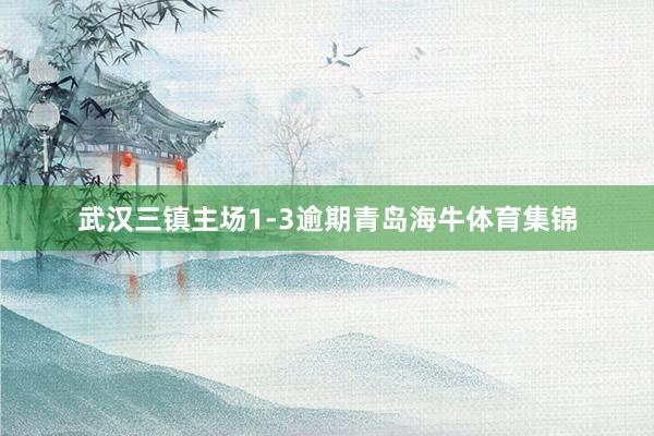 武汉三镇主场1-3逾期青岛海牛体育集锦