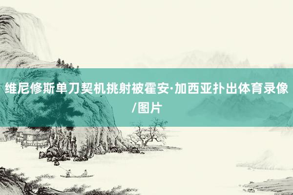 维尼修斯单刀契机挑射被霍安·加西亚扑出体育录像/图片
