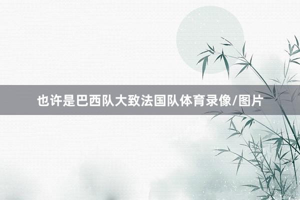 也许是巴西队大致法国队体育录像/图片