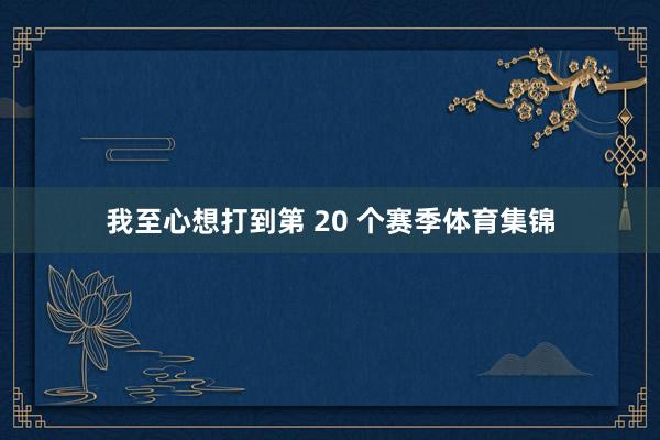 我至心想打到第 20 个赛季体育集锦