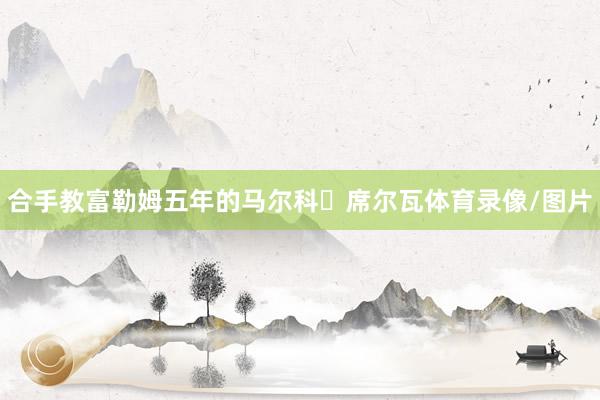 合手教富勒姆五年的马尔科・席尔瓦体育录像/图片