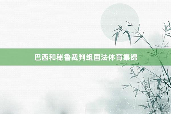 巴西和秘鲁裁判组国法体育集锦