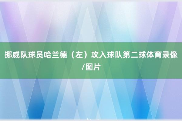 挪威队球员哈兰德（左）攻入球队第二球体育录像/图片