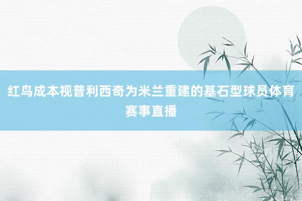 红鸟成本视普利西奇为米兰重建的基石型球员体育赛事直播
