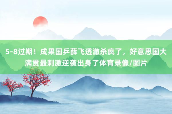 5-8过期！成果国乒薛飞透澈杀疯了，好意思国大满贯最刺激逆袭出身了体育录像/图片